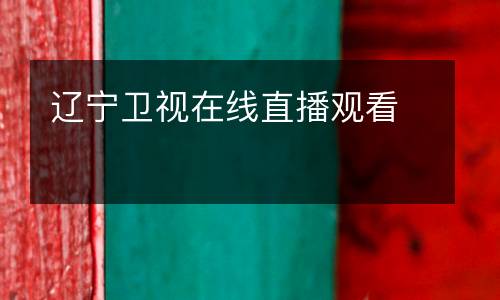 辽宁卫视在线直播观看